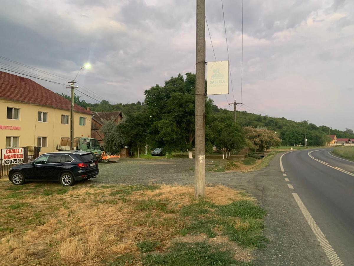 Pensiune Casa Munteanu Pálosbaracka Kültér fotó